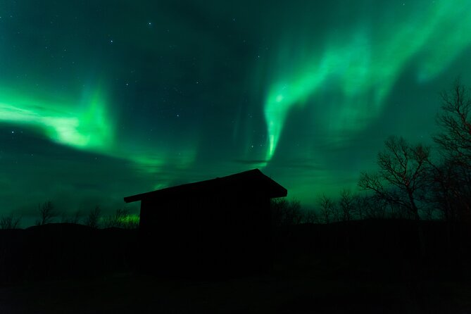 Northern Lights Tour from Kiruna to Abisko with Dinner - The price and what you receive for $278.79