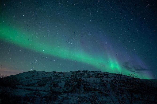 Northern Lights Tour from Kiruna to Abisko with Dinner - Who will enjoy this Northern Lights outing