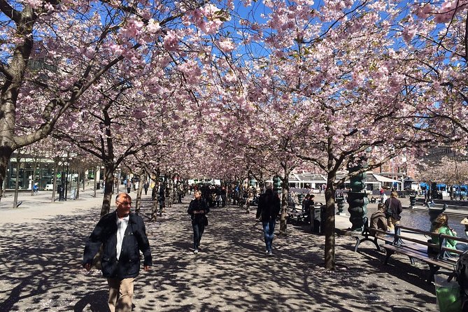 Private 4h VIP city tour by limousine car and guide in Stockholm - Is $395 per person a fair price?