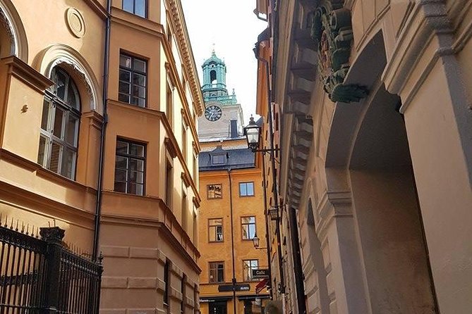 Private Car Tour of Stockholm with a Live guide, including the Vasa museum. - Who will get the most from this tour?