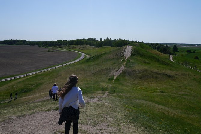 Private Full Day Viking History Tour from Stockholm Including Sigtuna and Uppsala - Uppsala Cathedral brings religion and power into view