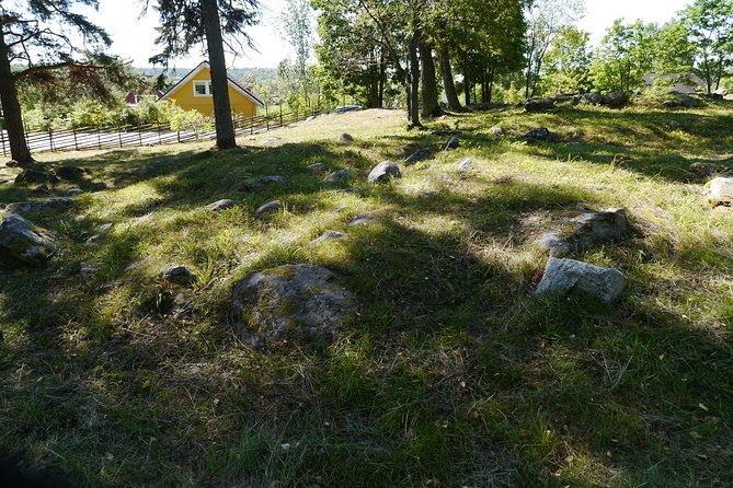 Private Tour: 3h Viking History from Stockholm to Runic Kingdom - Is $431.94 per person a fair price?