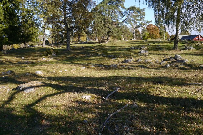 Private Tour: Swedish History Day Trip to World Heritage Candidate Markim-Orkesta from Stockholm - Why Markim-Orkesta makes a strong half-day outing