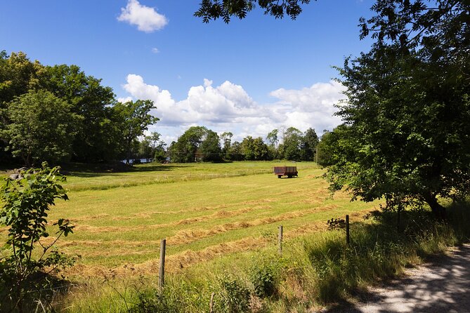 RIB Speed Boat Tour and Archipelago Island Visit (4,5h) - Vaxholm, the archipelago’s historic gateway