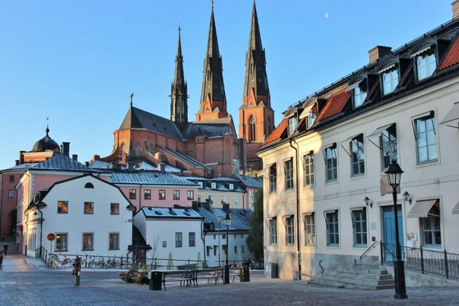 ROYAL Uppsala and VIKING Sigtuna PRIVATE Tour - Guides make the difference