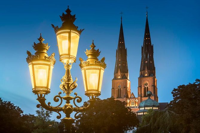 ROYAL Uppsala and VIKING Sigtuna PRIVATE Tour - Who will enjoy this outing most