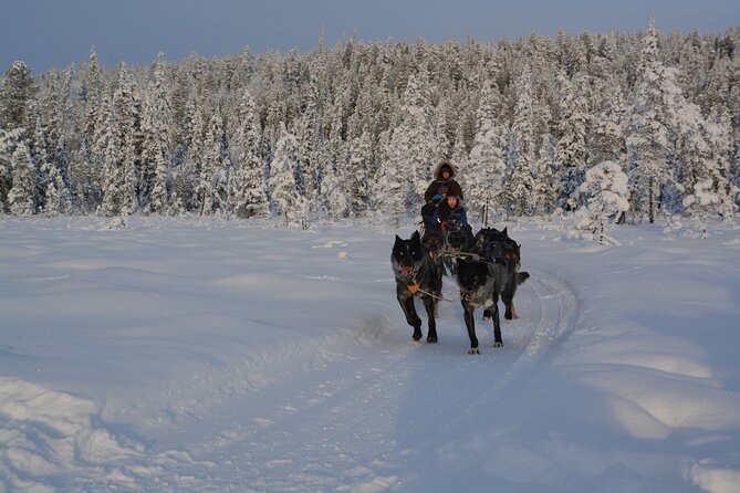 Sit Back and Relax Morning Husky Tour - A fire, a teepee, and a proper fika