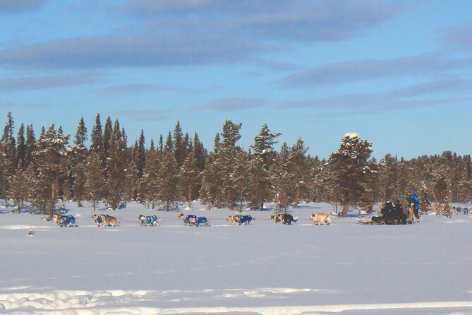Sit Down Husky Ride Dog Sled Tour in Kiruna - Getting suited up for Arctic weather