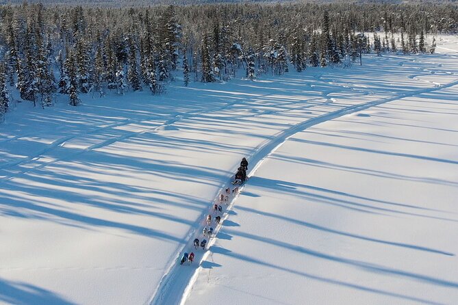 Sit Down Husky Ride Dog Sled Tour in Kiruna - Who will enjoy this most?