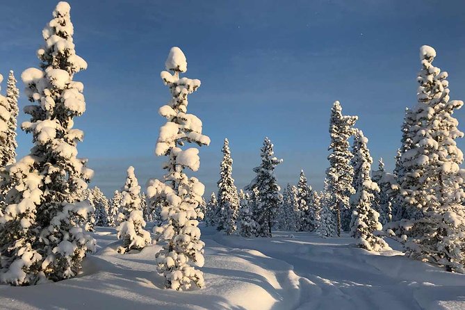 Snowmobile Arctic Adventure - What the guide adds to the day