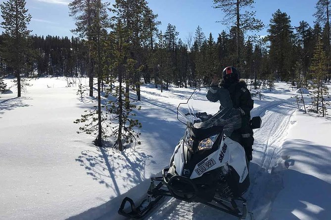 Snowmobile Arctic Adventure - Is $231.34 a fair price?