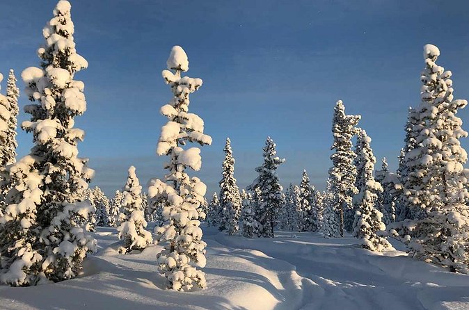 Snowmobile Arctic Adventure - Practical details that can make or break the day