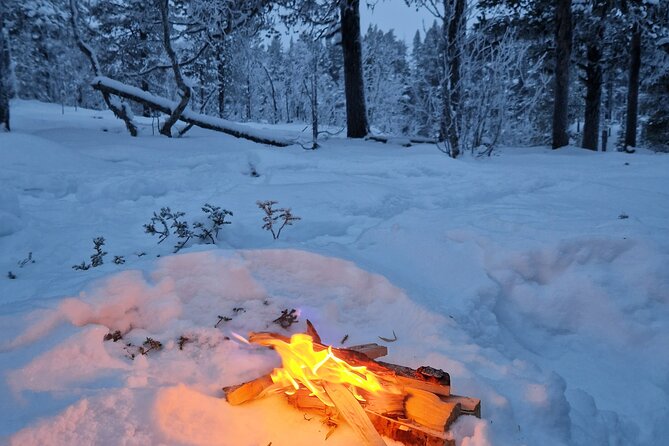 Snowshoe in a Winter Forest - Kiruna, mining, and Sami culture along the way