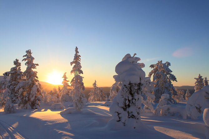 Snowshoe in a Winter Forest - What the $146.65 price gets you
