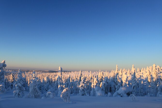 Snowshoe in a Winter Forest - Who will enjoy this Kiruna activity most