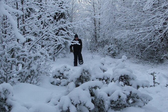 Snowshoe in a Winter Forest - Meeting Anders and getting into the forest