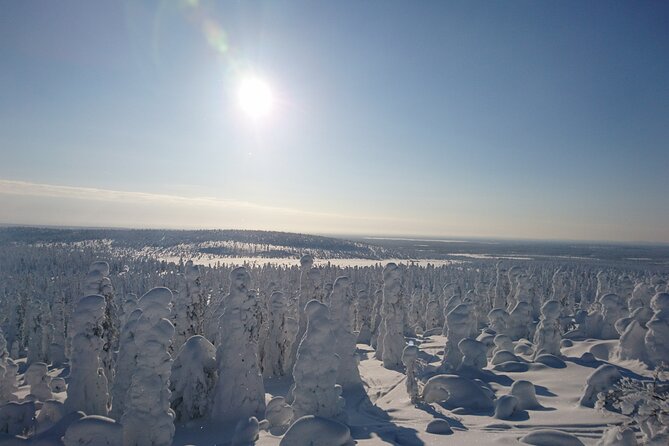 Snowshoe up a Mountain - Learning to use snowshoes on the climb