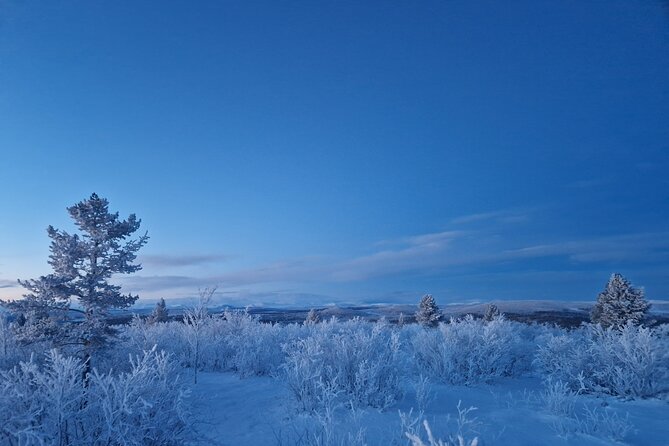 Snowshoe up a Mountain - Clothing and fitness: the details that matter