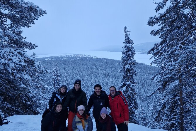 Snowshoe up a Mountain - Starting in Kiruna with a small local group