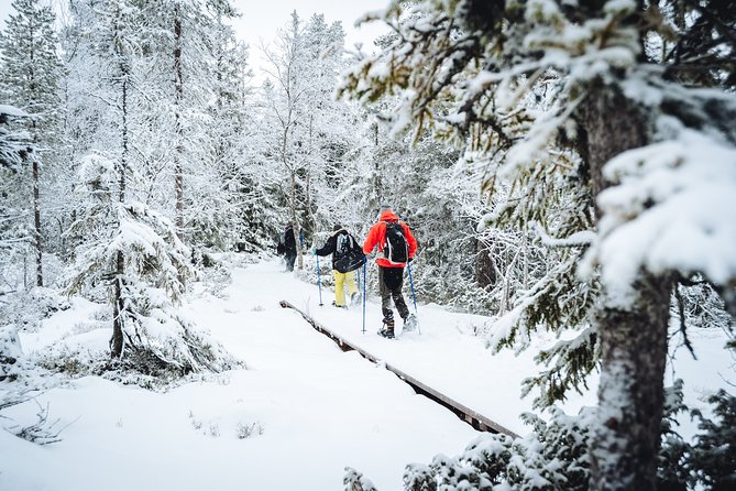 Snowshoe Winter Hike from Stockholm - Leaving Stockholm for a quieter winter day