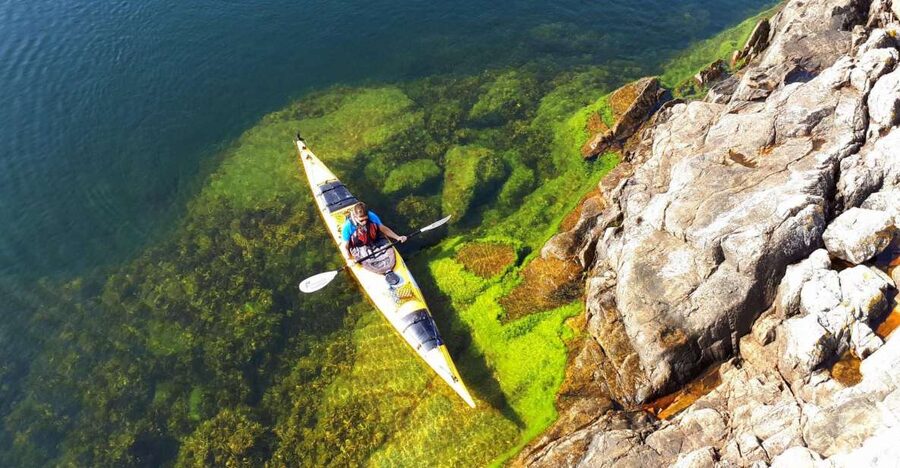 Stockholm: 1, 2, or 3-Day Kayaking Tour in the Archipelago - A full day among islands, inlets, and skerries