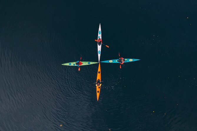 Stockholm: Archipelago Family-Friendly Private Kayaking Tour - Price, private attention, and overall value
