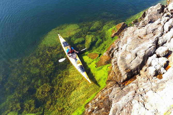 Stockholm Archipelago Kayaking Day Tour - Why the Stockholm archipelago is worth a full day