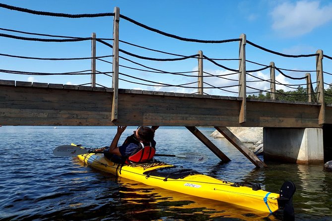 Stockholm Archipelago Kayaking Day Tour - A swim and outdoor lunch on a rocky shore