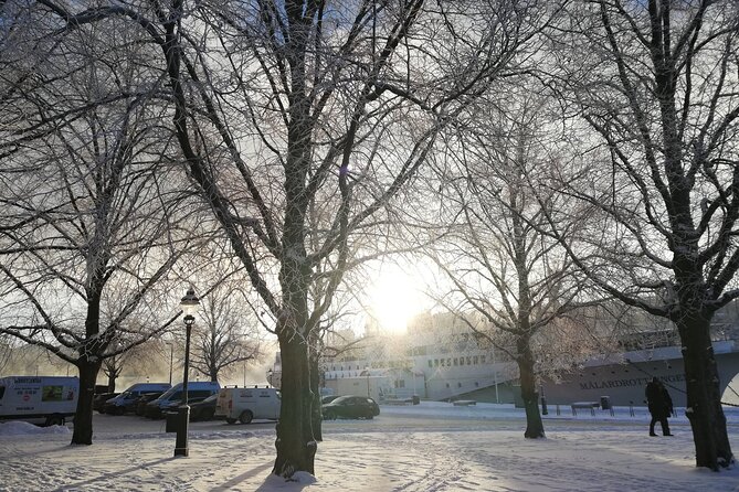 Stockholm Christmas Tour and Food Tasting Experience - What $59.39 buys you