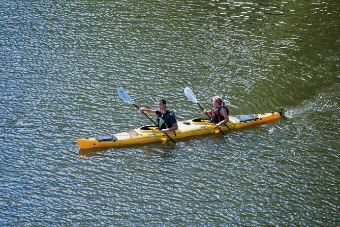 Stockholm City Evening Kayak Tour - Who will enjoy this four-hour outing
