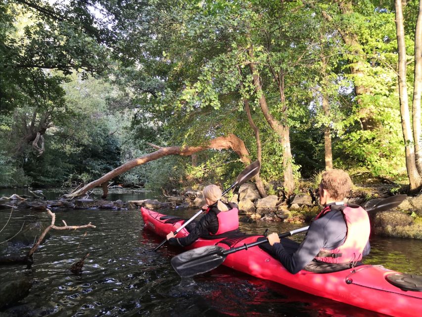 Stockholm Evening Kayak with BBQ. - Is $141 a fair price?