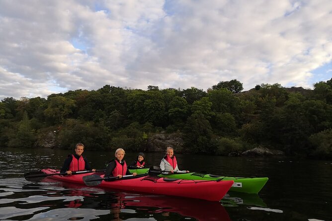 Stockholm Evening Kayak with BBQ - Small Group - Seeing Stockholm City Hall from the kayak