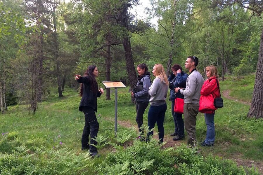 Stockholm: Evening Wildlife Safari with Midsummer Meal - What the four-hour format feels like