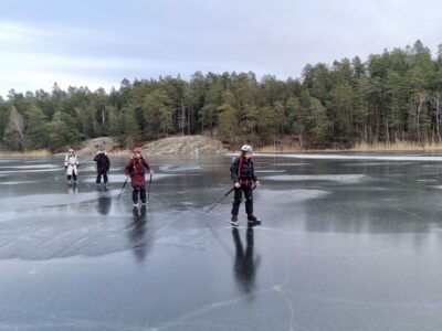 Family Friendly Private Ice Skating Tour & Lunch