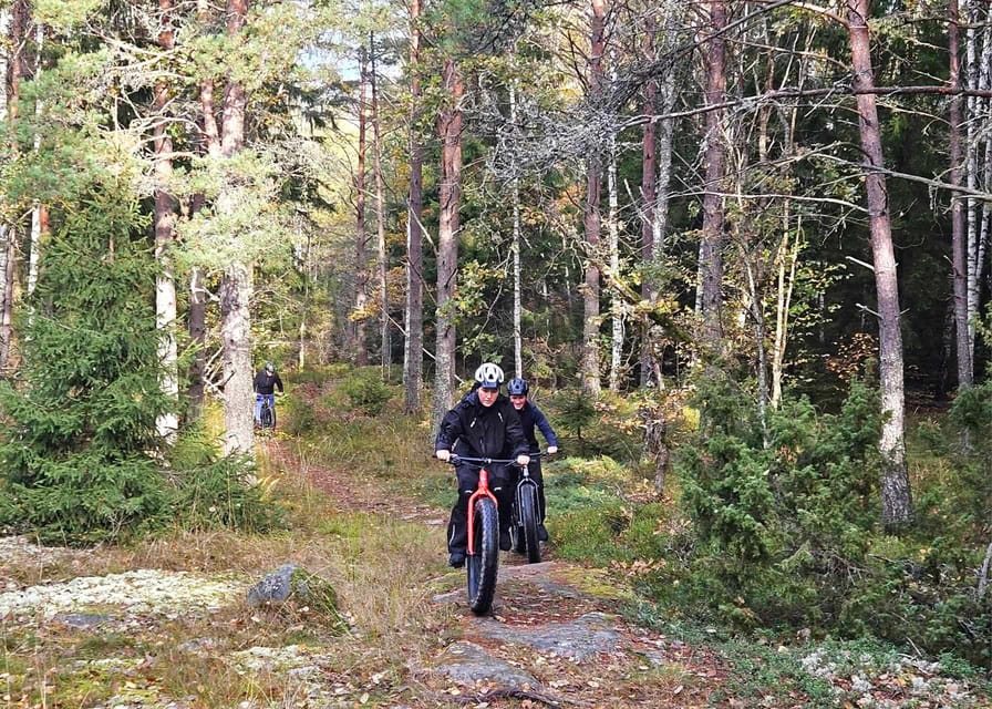Stockholm: Fat Bike Forest Adventure with Lunch and Sauna - Two to three hours on Swedish forest trails