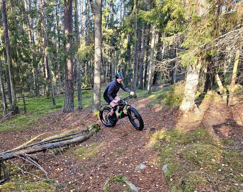 Stockholm: Fat Bike Forest Adventure with Lunch and Sauna - The break matters more than it sounds