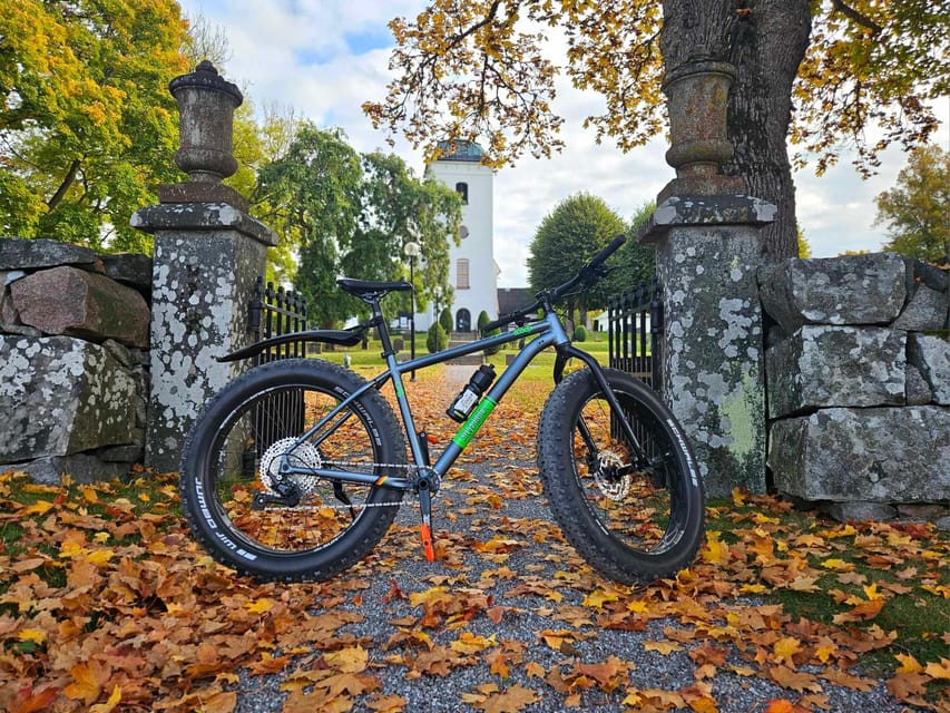 Stockholm: Fat Bike Forest Adventure with Lunch and Sauna - Is $138 a fair price?