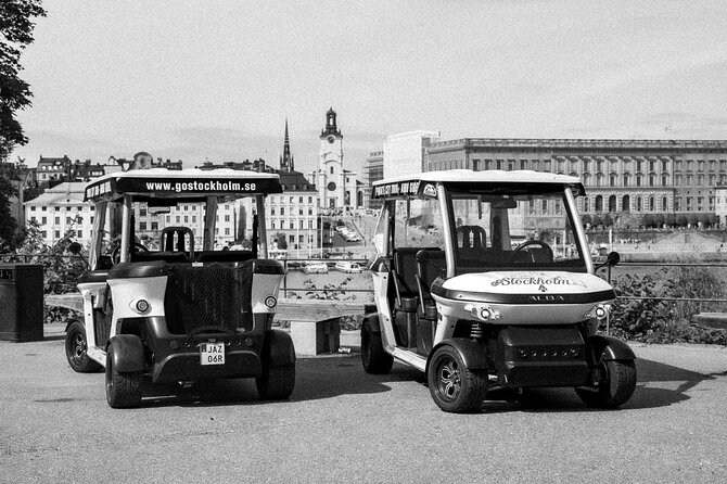 Stockholm Highlights: Private Golf Cart Tour - Monteliusvägen: five minutes with a big view