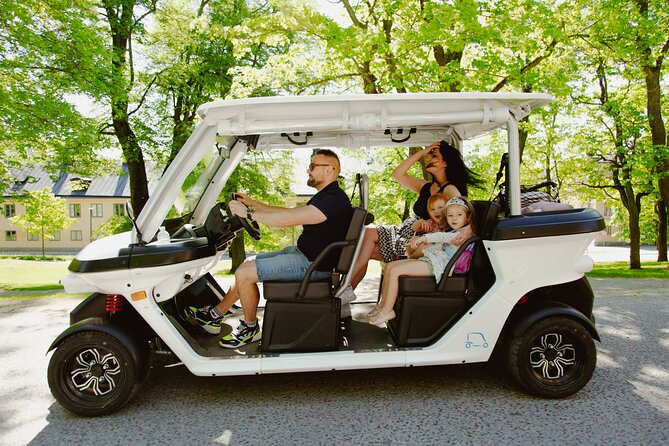 Stockholm Highlights: Private Golf Cart Tour - Skeppsholmen, Djurgården, and the wider city