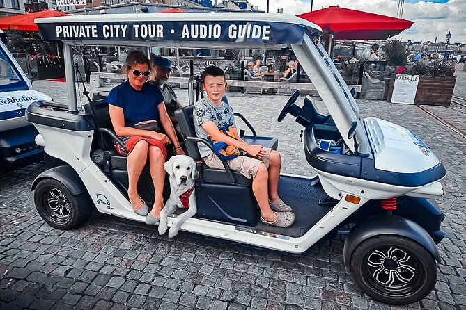 Stockholm Highlights: Private Golf Cart Tour - Södermalm: painted houses and city views