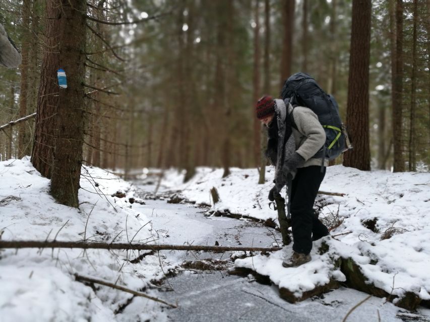 Stockholm: Nature Hike with Campfire Lunch - Key points to know before booking