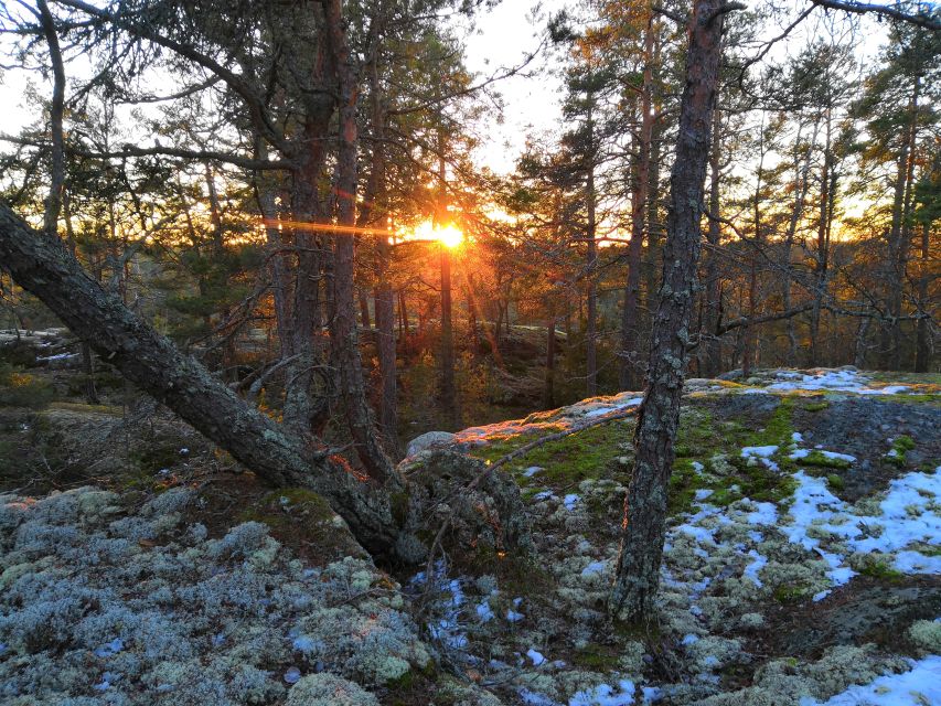Stockholm: Nature Hike with Campfire Lunch - Afternoon animal spotting and the frozen lake option