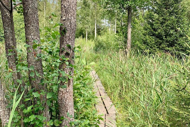 Stockholm: Nature Reserve Hiking Tour with Campfire Lunch - The second hike: viewpoints and seasonal water