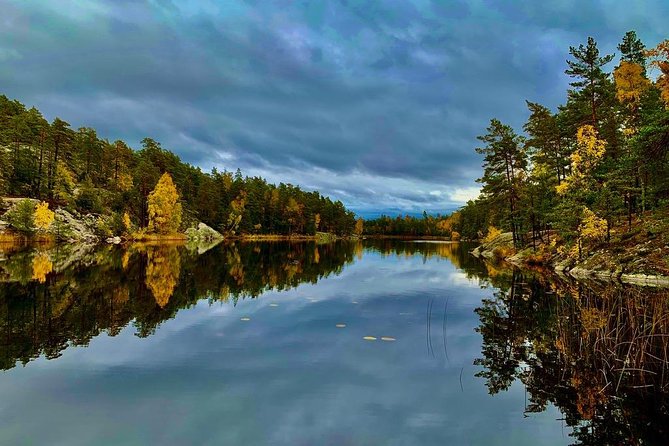 Stockholm: Nature Reserve Hiking Tour with Campfire Lunch - Who should book this Stockholm nature tour?