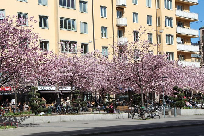 Stockholm Private Tour with a Local: Hip & Bohemian Sodermalm 3hr - Why three hours works well in Södermalm