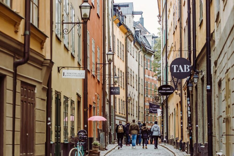 Stockholm Private Walking Experience with a Local Host 3-8hr - Group size, access, and comfort