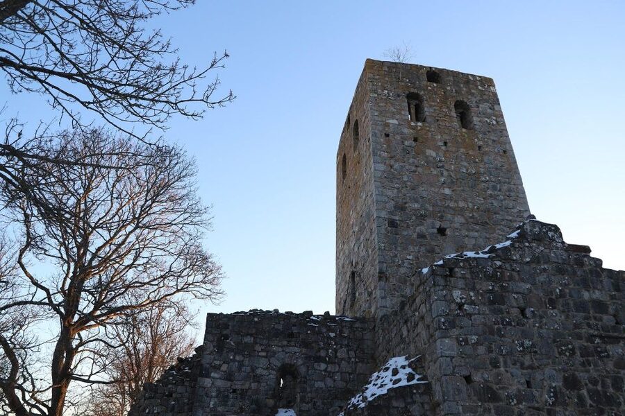 Stockholm: Sigtuna and Uppsala Viking History Day Tour - A full day tracing Viking Sweden from Stockholm
