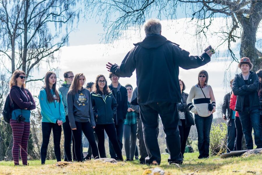 Stockholm: Sigtuna and Uppsala Viking History Day Tour - Granby Farm, fika, and a Viking home