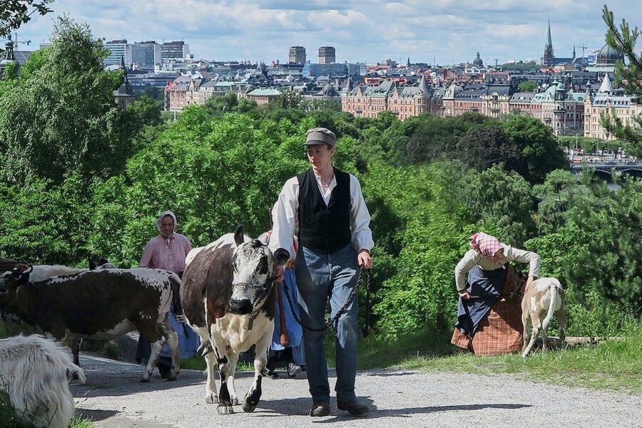 Stockholm: Skansen Open-Air Museum Admission Ticket - Why Skansen works better than a standard museum