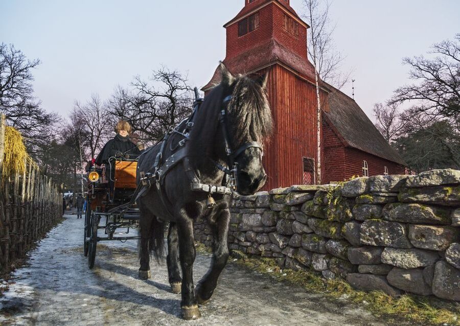 Stockholm: Skansen Open-Air Museum Admission Ticket - Nordic animals from moose to wolverines
